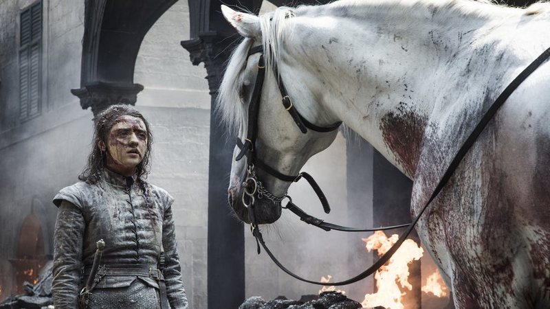 Ghost got his good boy pet, but what about the ghost horse?